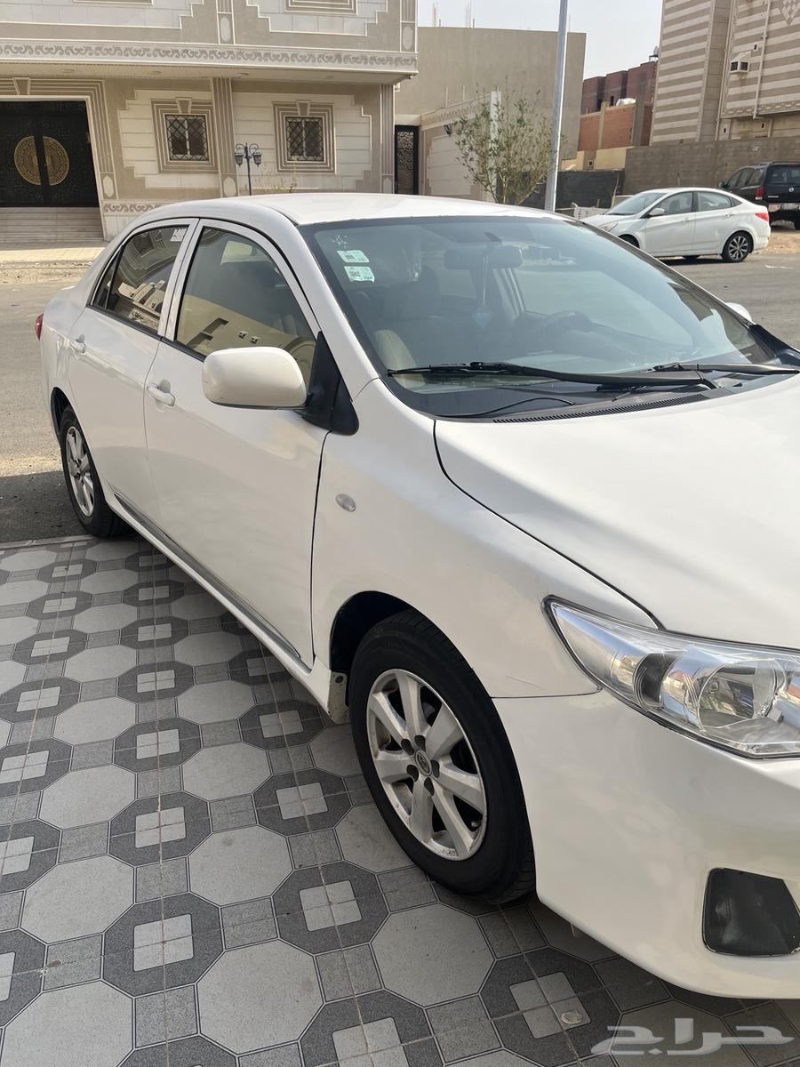 كوريلا 2012 للبيع64488629979394111