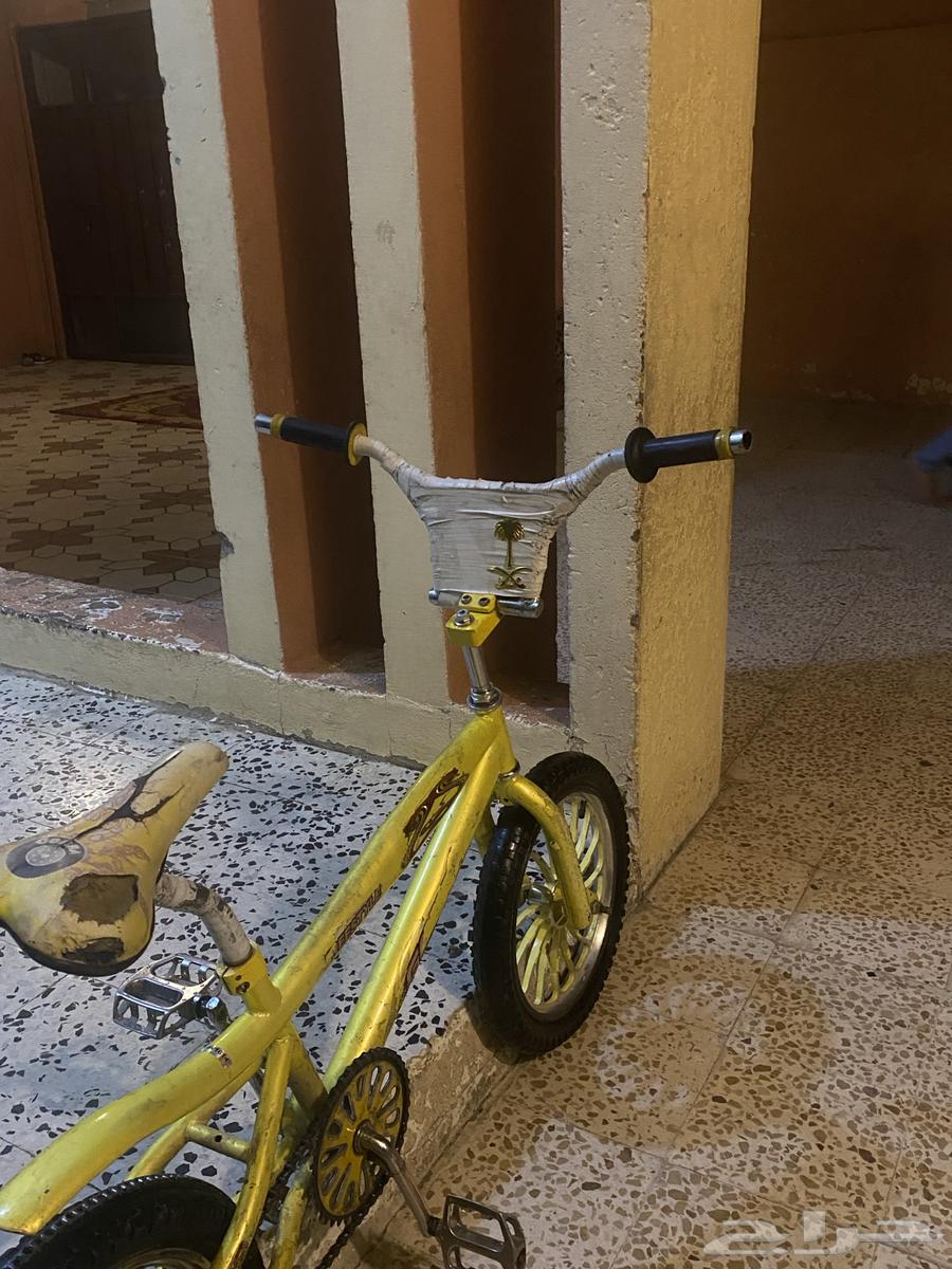 سيكل كوبرا اصفر مقاس 16 طبعا  مركب له سير دباب على الكفر ورا64342862691587112