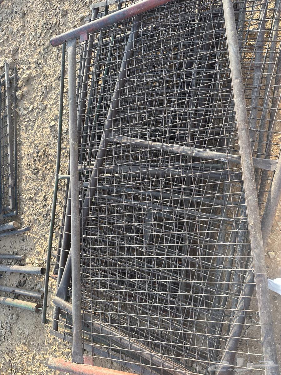 Sheep net for sale64348202946179111