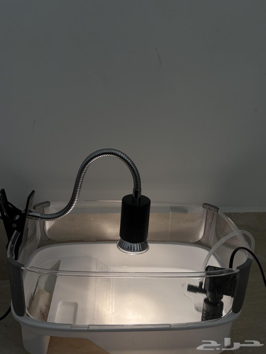 Turtle tank with all equipment64345180363011110