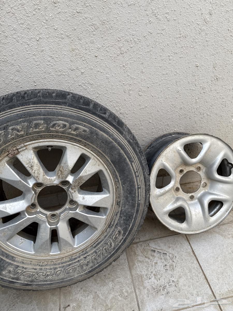 جنوط للبيع وكاله64481141704835110