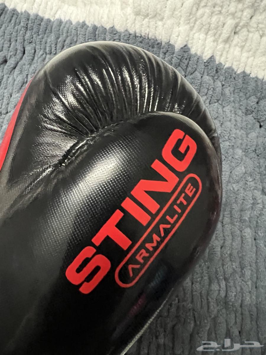 قفازات ملاكمة STING للبيع64344094233858113