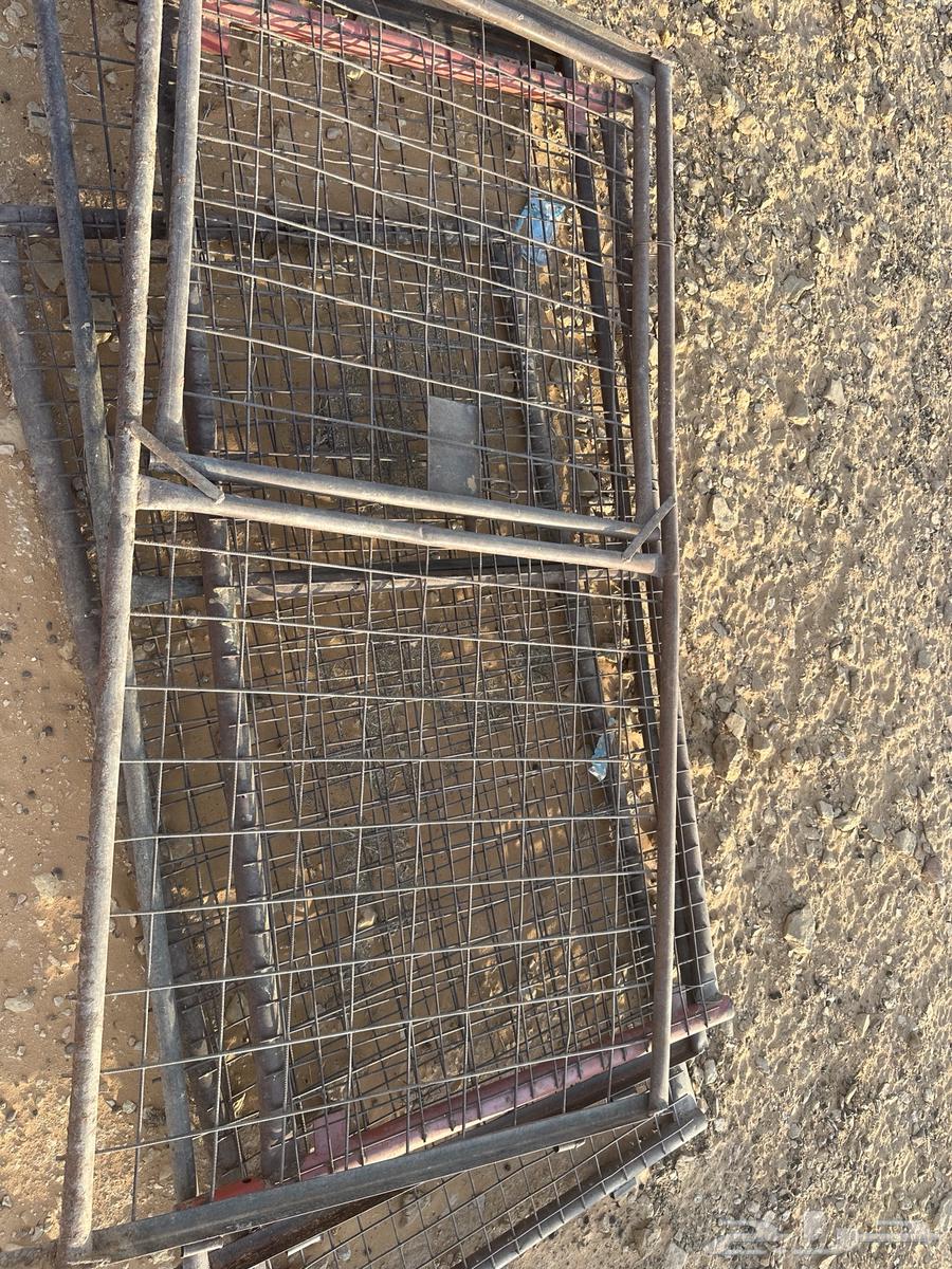 Sheep net for sale64348202946179112