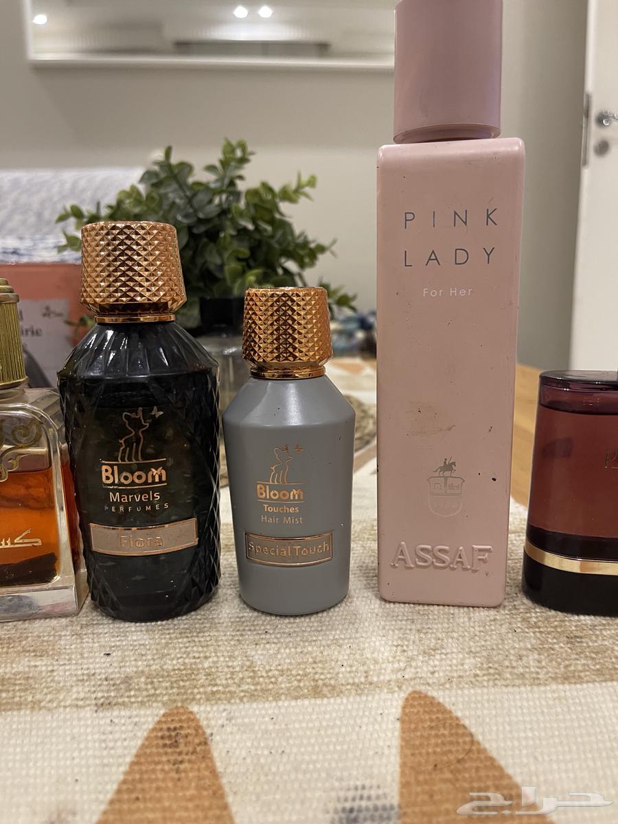 للبيع عشر عطور فخمه عربيه وفرنسيه وشرط اصليه64337368946179113