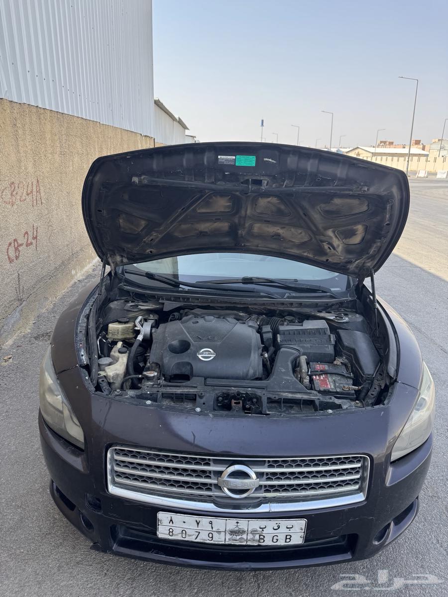 Maxima 201164483123254146113