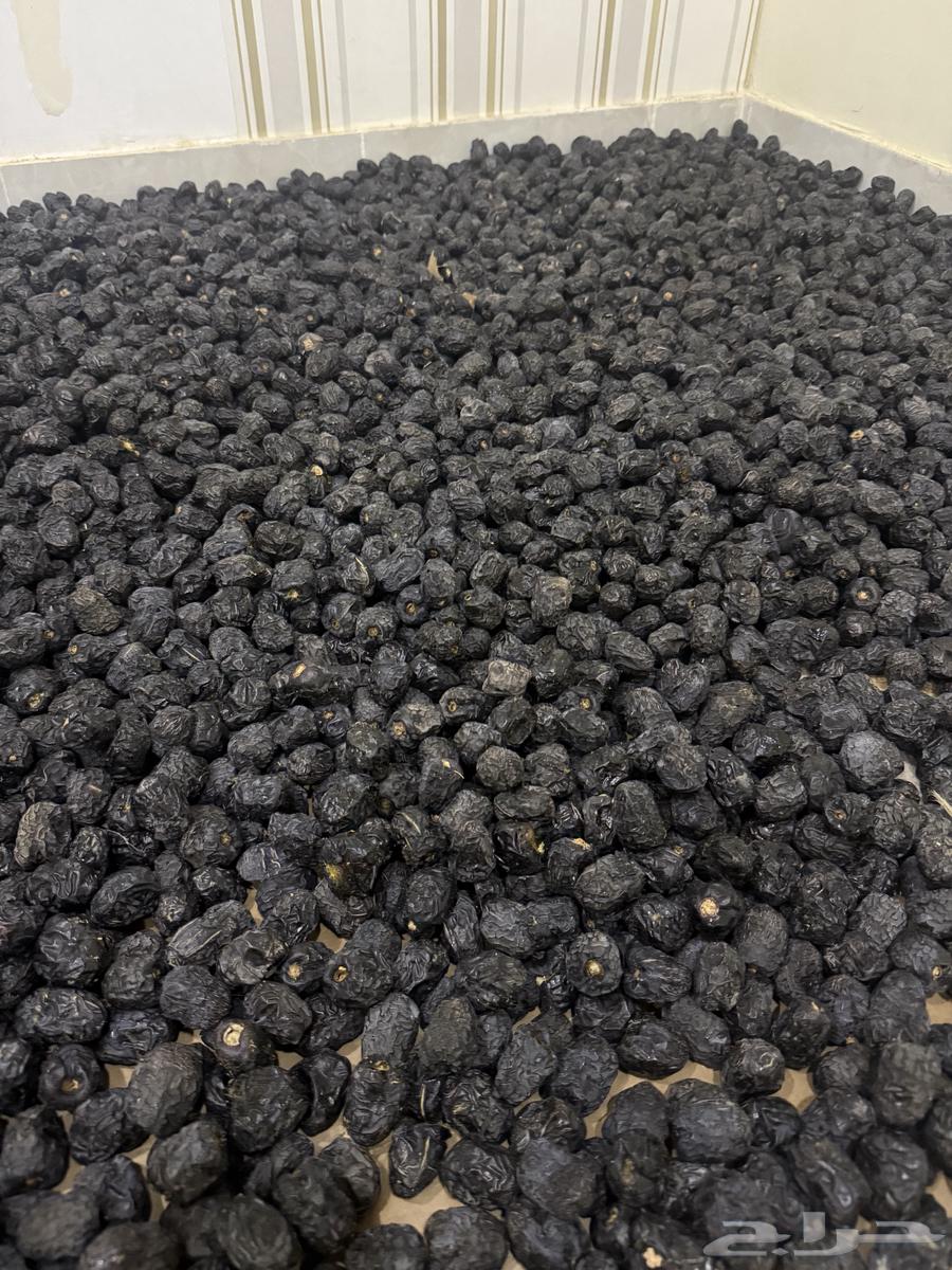 Ajwa Dates Ajwa64347222019587113