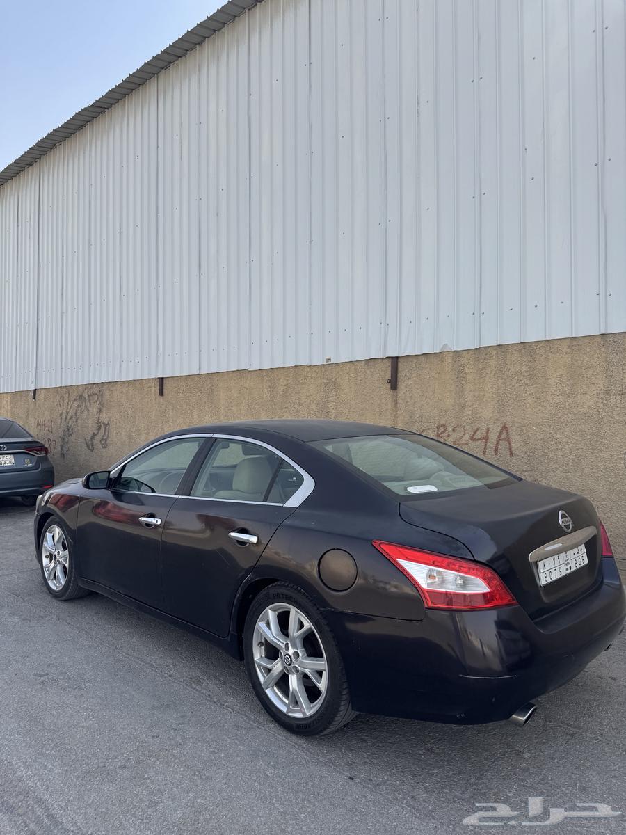 Maxima 201164483123254146111