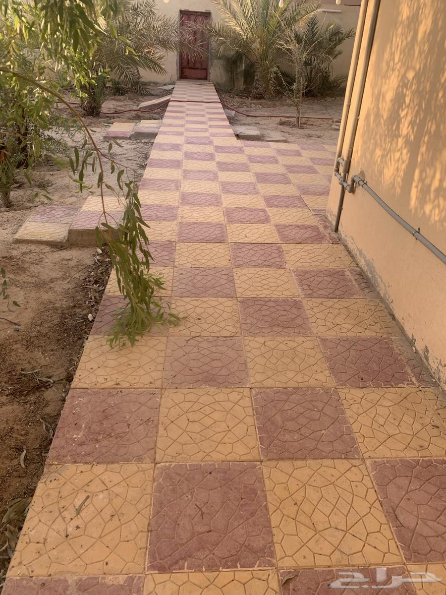 Rest area for rent63613849294851114