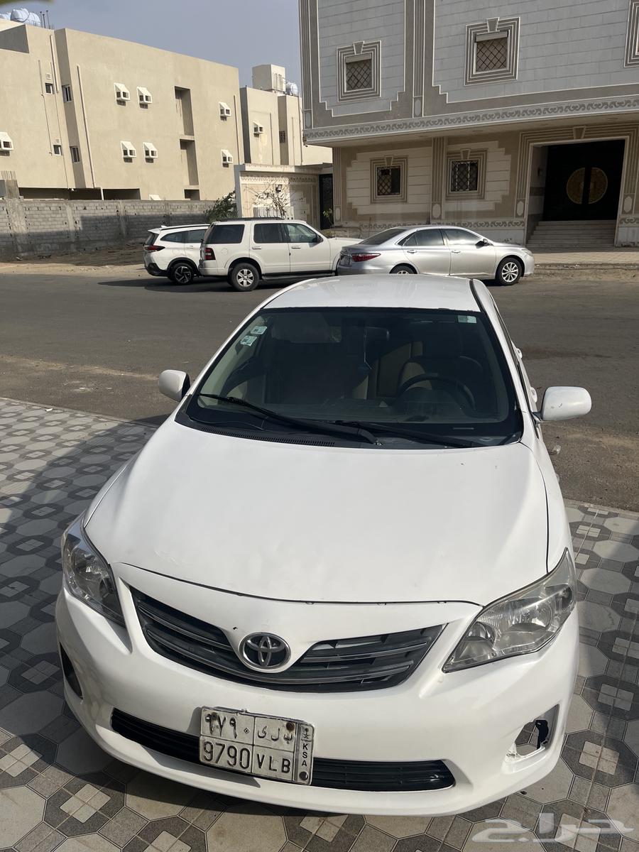 كوريلا 2012 للبيع64488629979394110