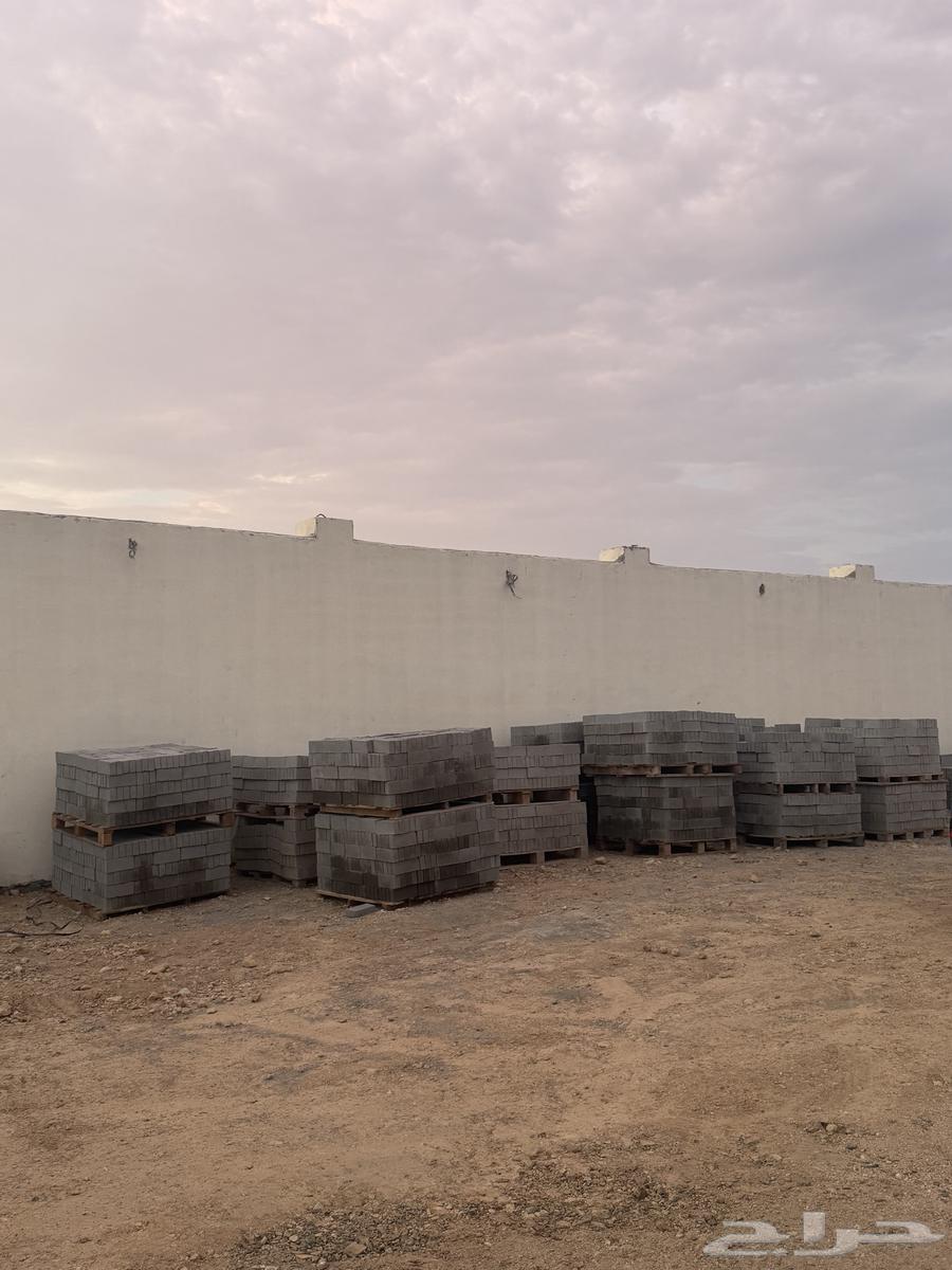 Atab, Tob, and Damok64492230129537110