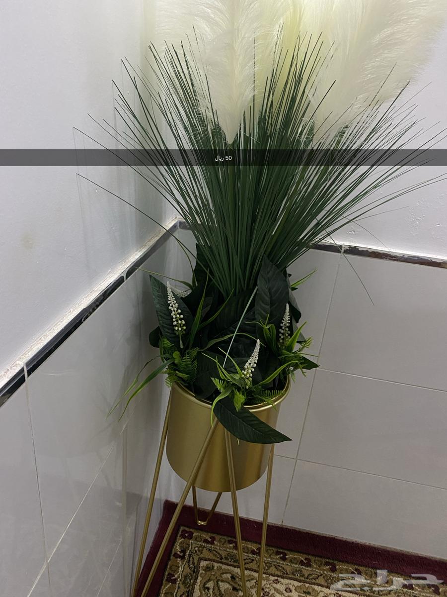 شاشة 42 و كنب أغراض بيت64341267885697111