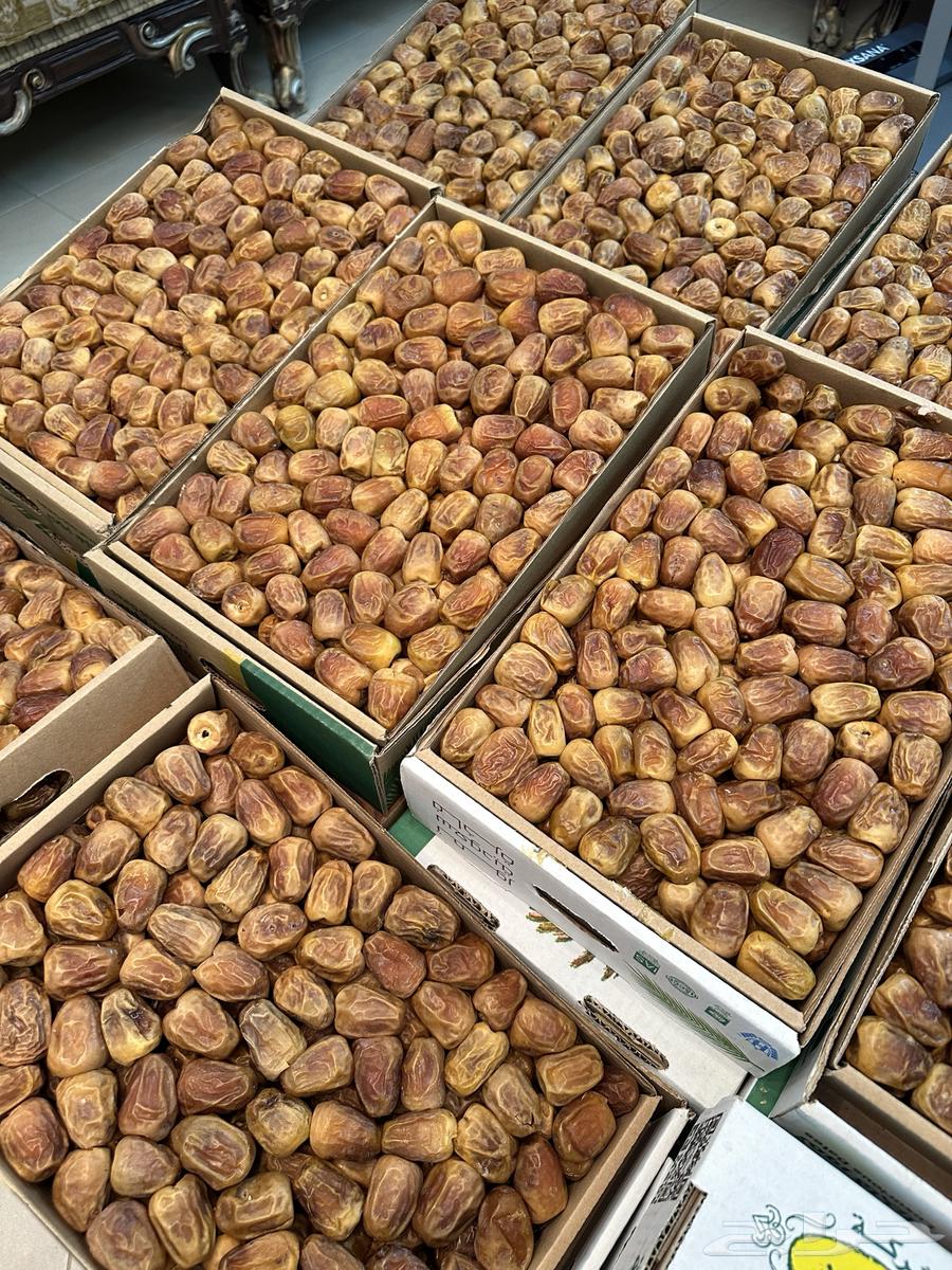 للبيع تمر سكري القصيم فاخر بالرياض64341644772738110