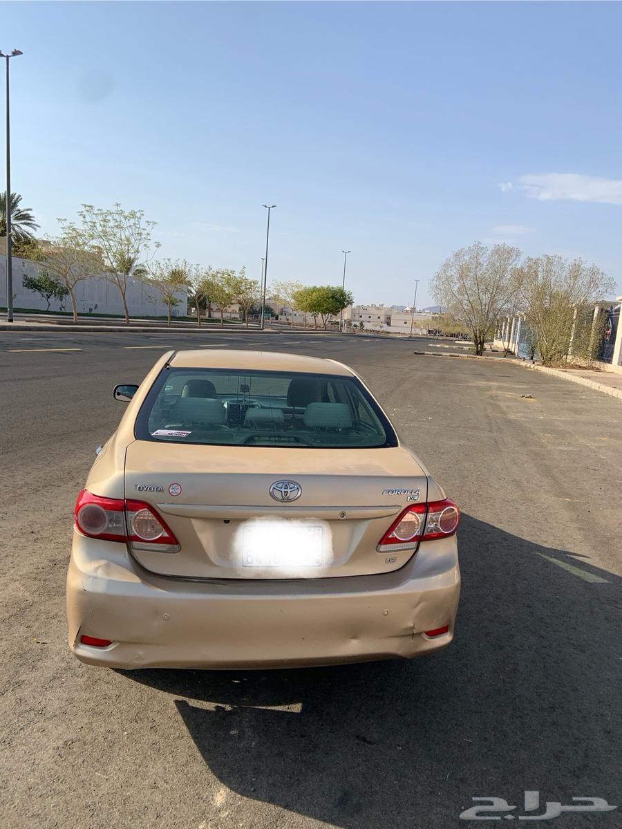 كورلا للبيع64491646375170112