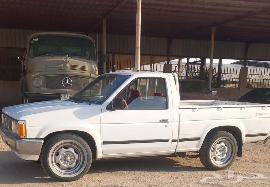 ددسن 87 مفحوص مجدد64489364192003111