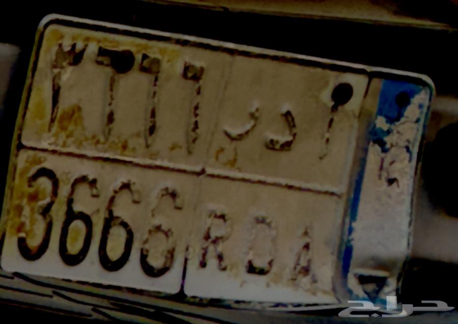 لوحة مميزة نقل خاص64485930591234110