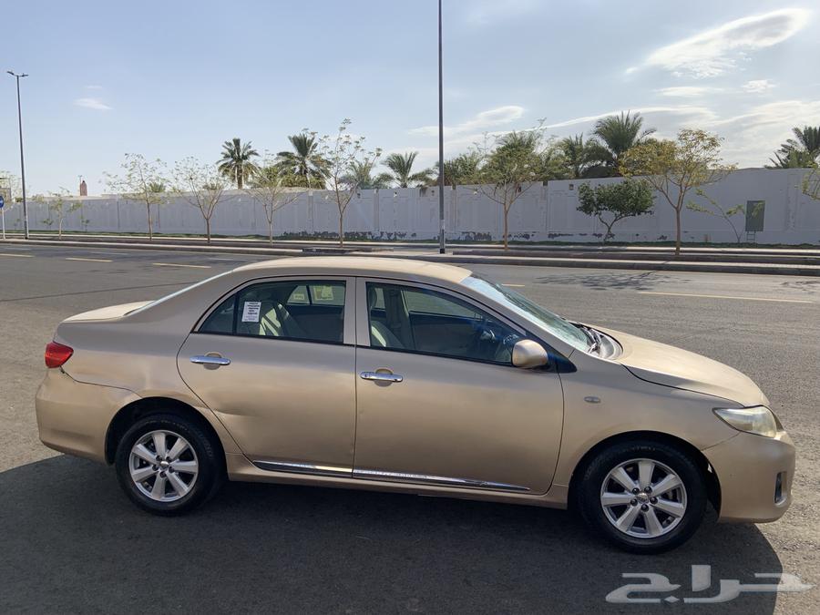 كورلا للبيع64491646375170114