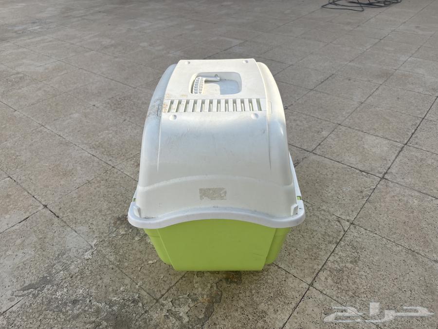 لتر بوكس قطط64388784646403113