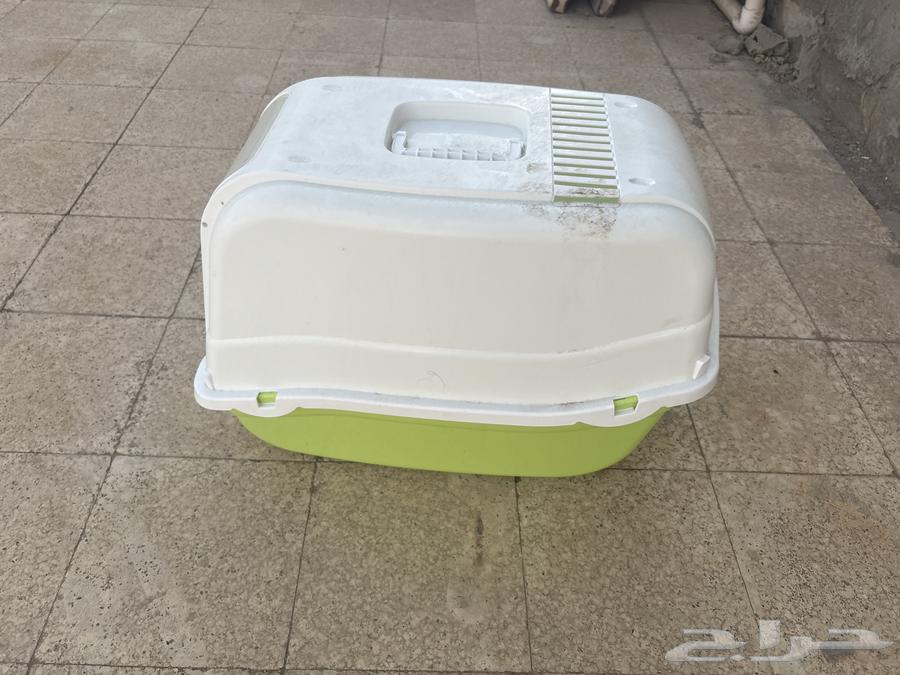 لتر بوكس قطط64388784646403111