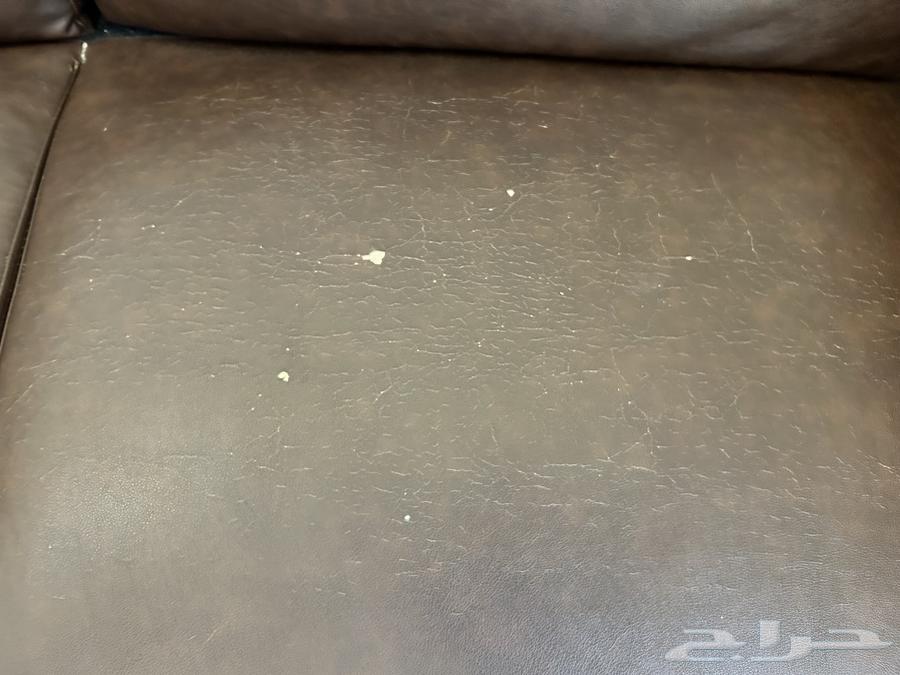 كنب جلد64341313314434113