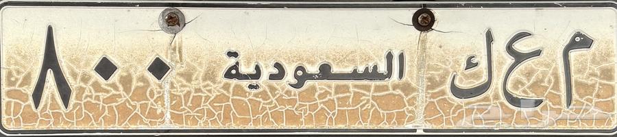 A distinctive plate64483598239234110