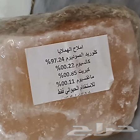 أقفاص 610 مستعمله ونظيفه64347647119619112