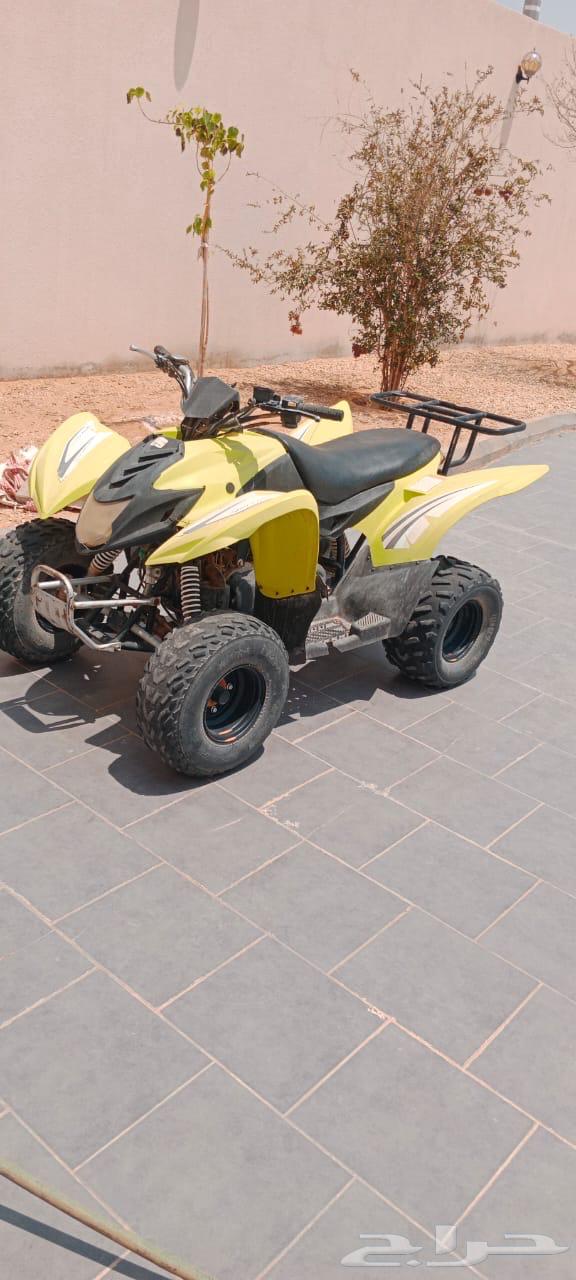 دباب ايوان64484911408386110