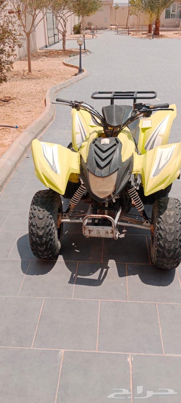 دباب ايوان64484911408386111