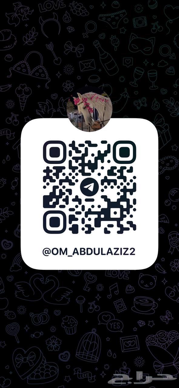 معلمة قرآن عن بعد64348934838019110