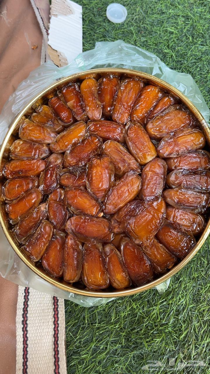 Zahri stuffed dates, large piece, lit up64345374167811110