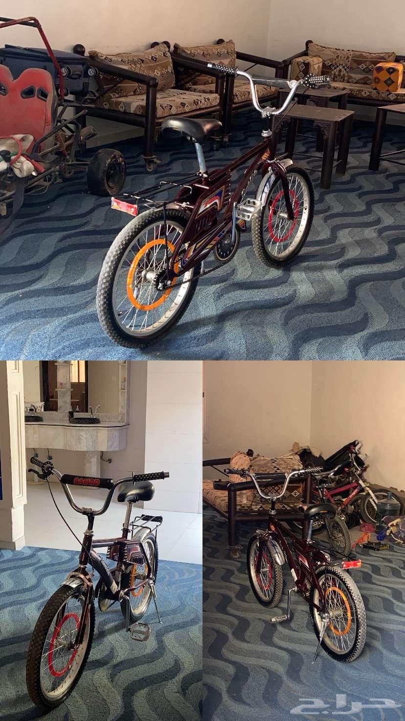 رابو اصلي لون عنابي مقاص عشرين السيكل حشمه64344926892291113