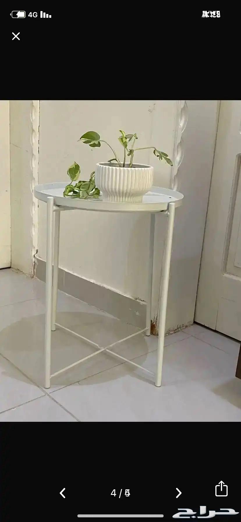 Stars, Mirrors, and Carpet in Al-Qurayyat64346606515714114