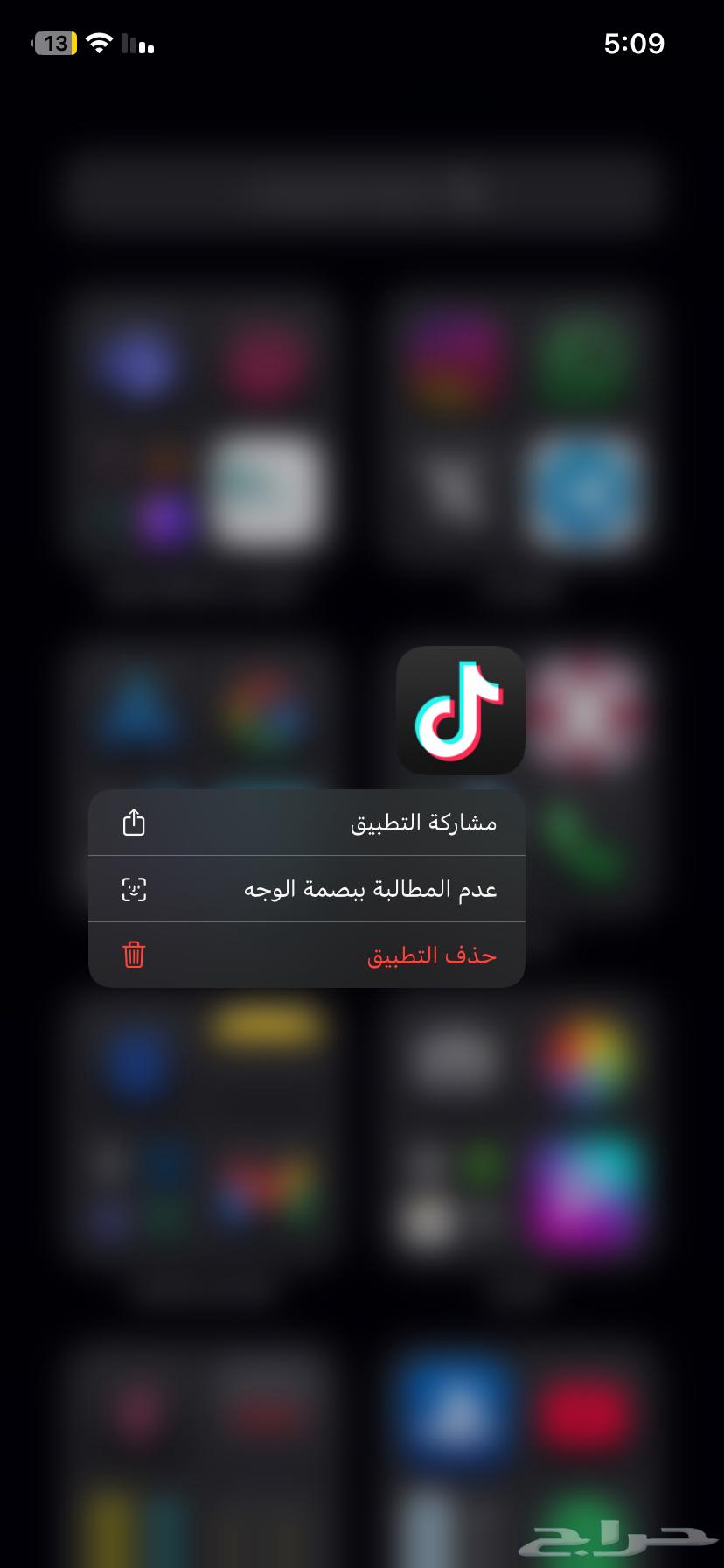 TikTok almost quadruple user accounts for sale at 20.64343689015938110