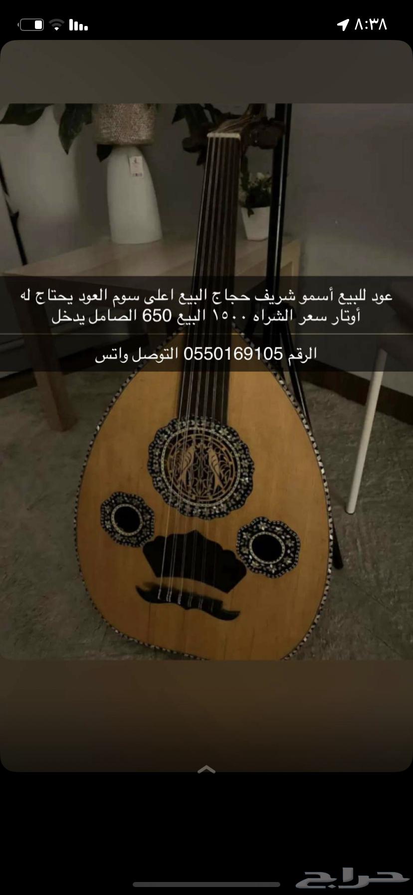 عود للبيع على  65064346562056962110