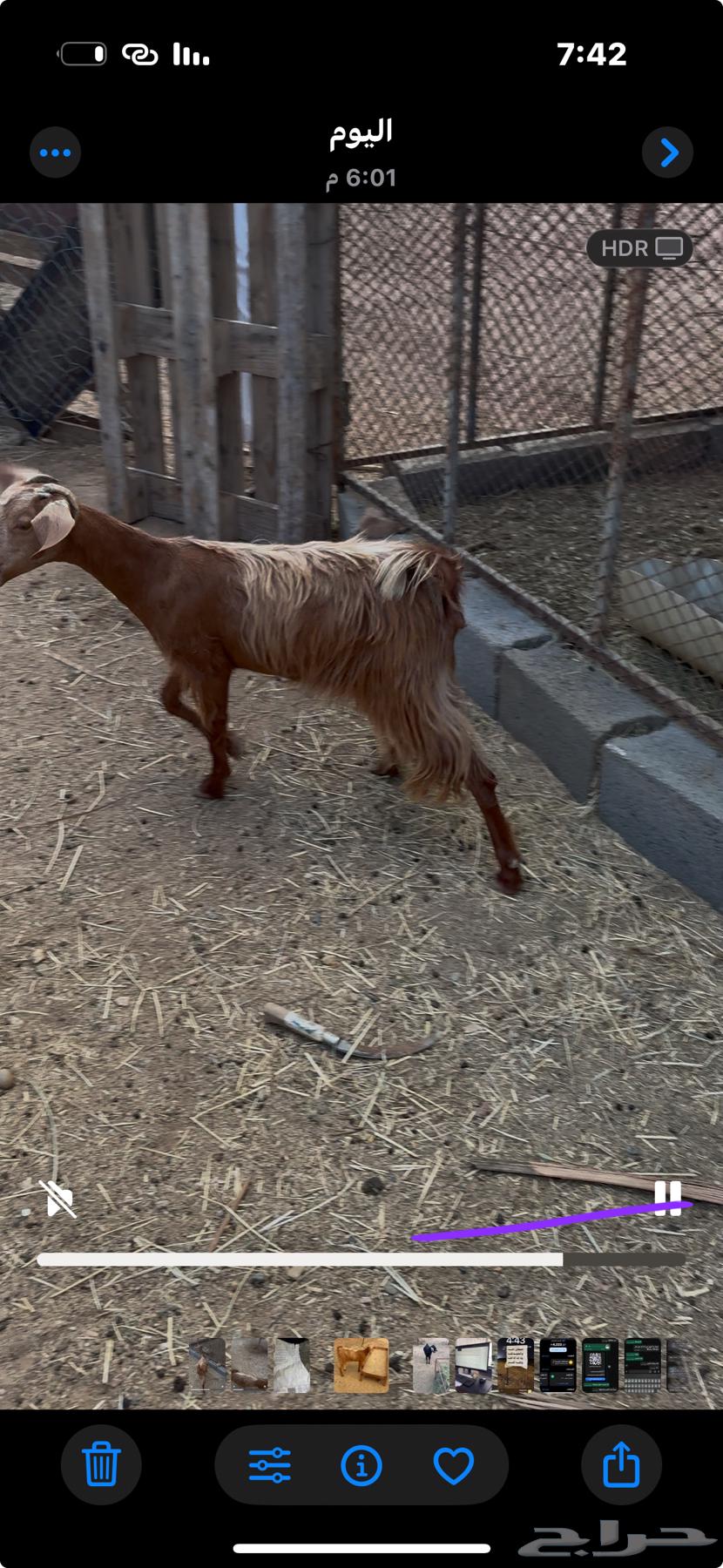 Hug64345796842882111