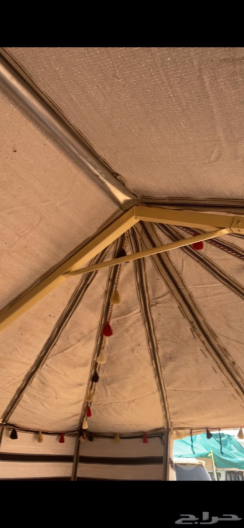 بكج بيت شعر ابيض64346783438209114