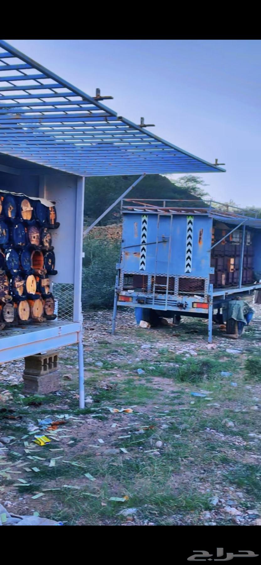 Pure, fresh mountain honey personally harvested from my own hive, guaranteed64345522580097112