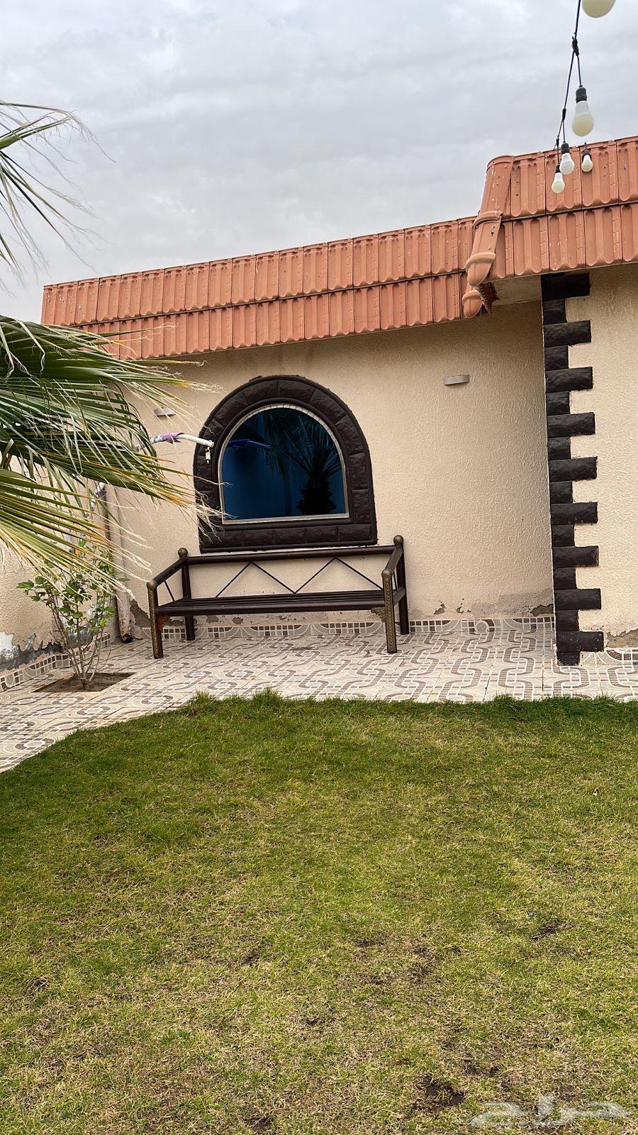 Chalet for rent Al-Hadiya636138467458591115