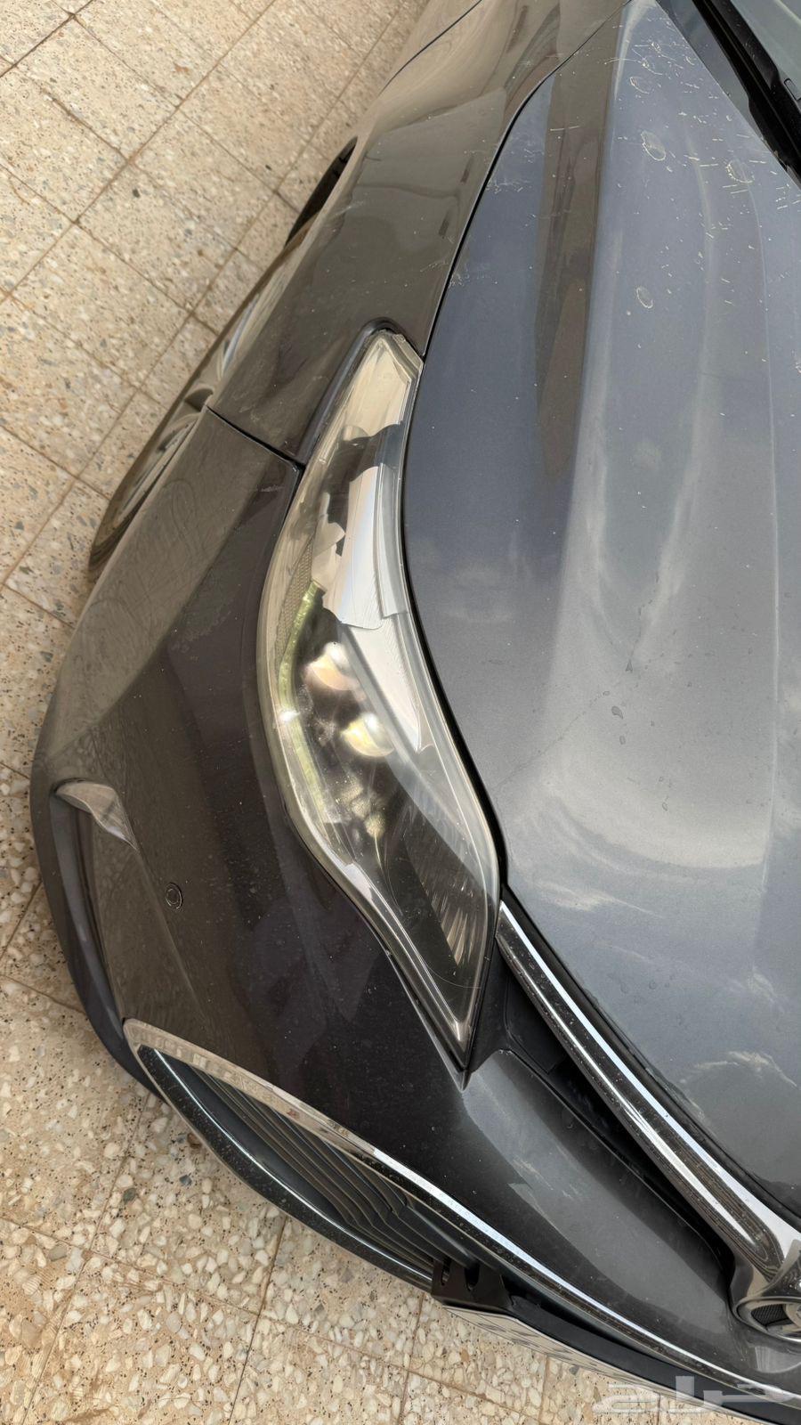 شمعة افالون وكالة من 2013 الى 201764487773893633112