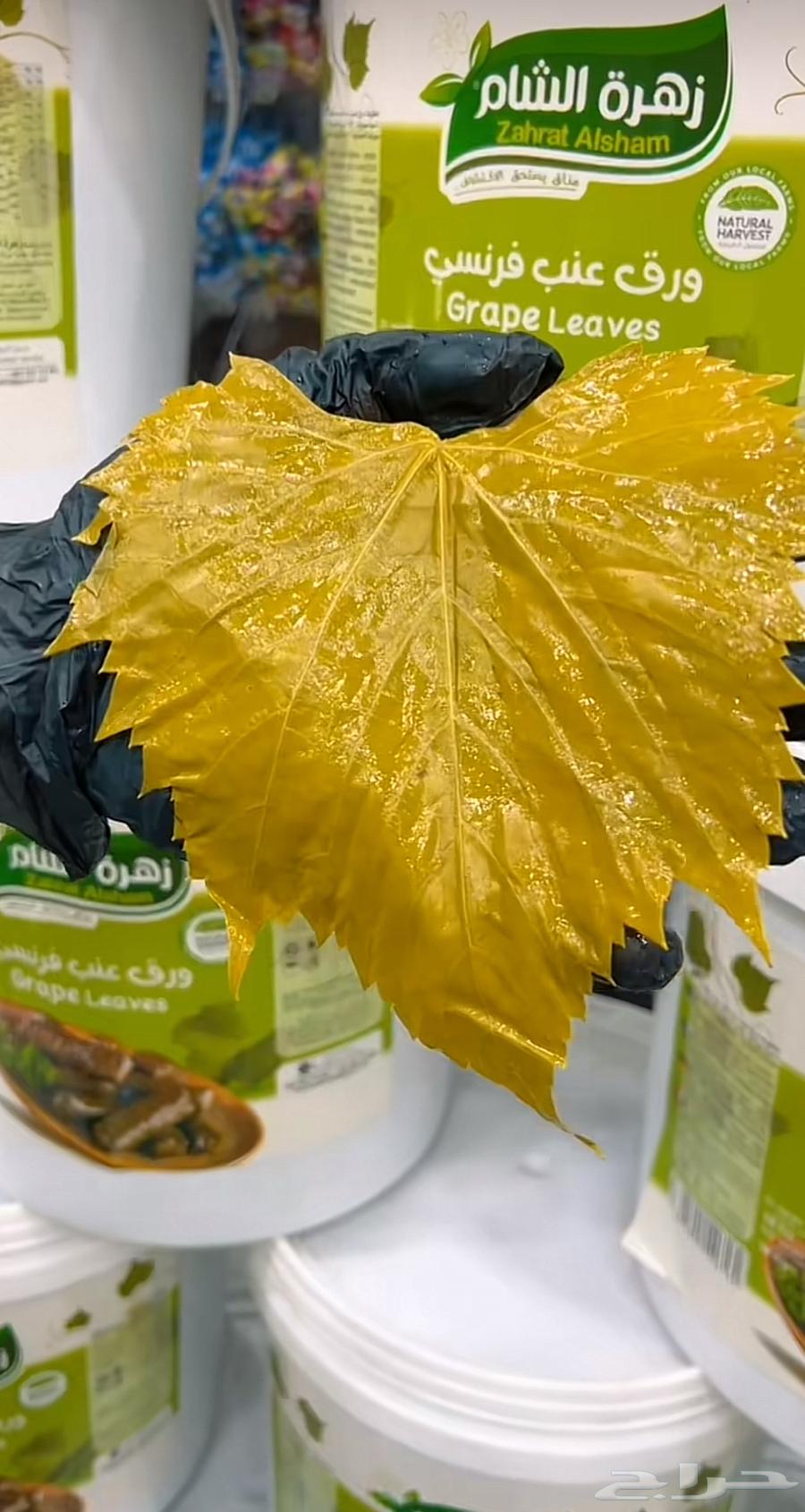 ورق عنب64339301168897112