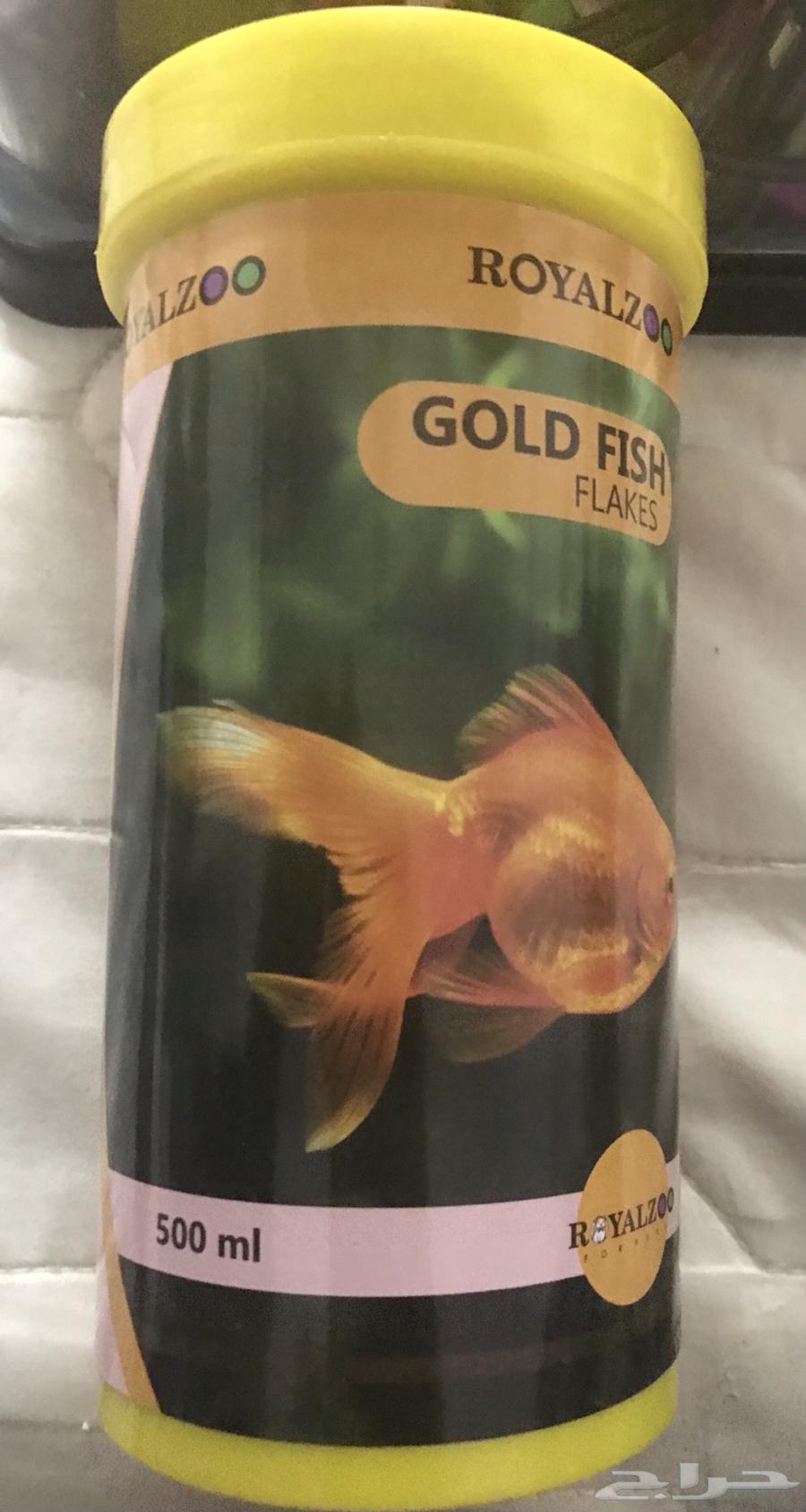 حوض سمك بفلتر واضاءة واحجار ملونة64344525256323112