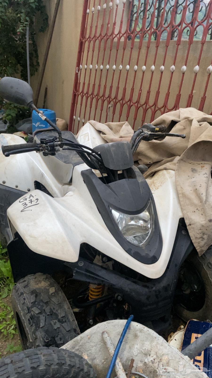 دباب للبيع64494591121281111