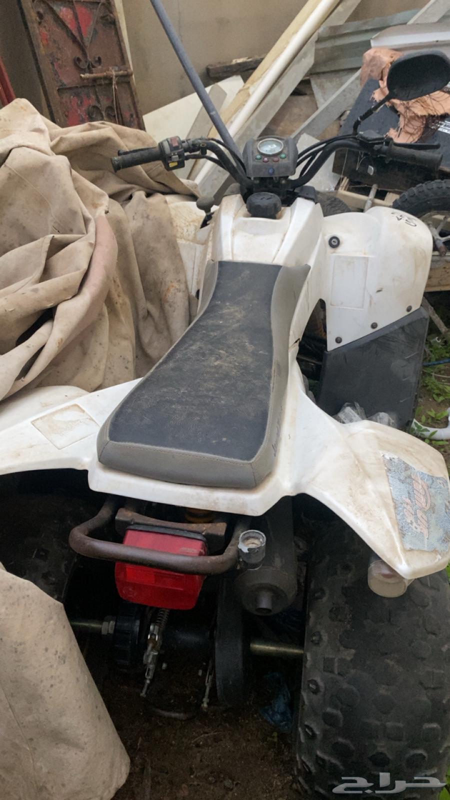 دباب للبيع64494591121281112