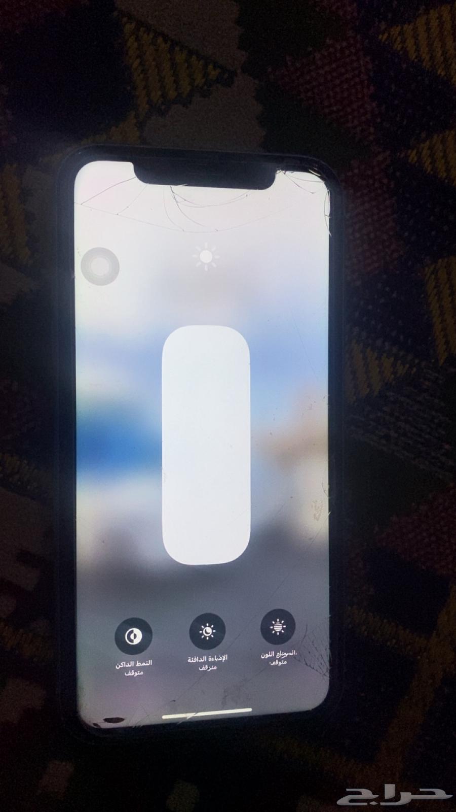 Regular iPhone 1164360068838403110