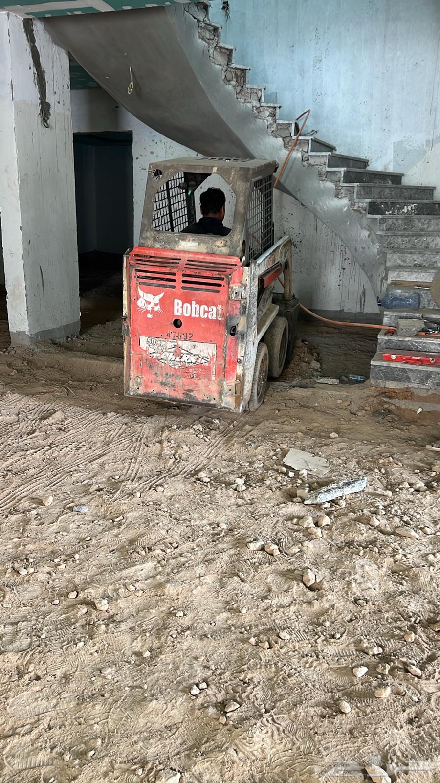 Small Bobcat Bobcats 1 meter width64495529077505110