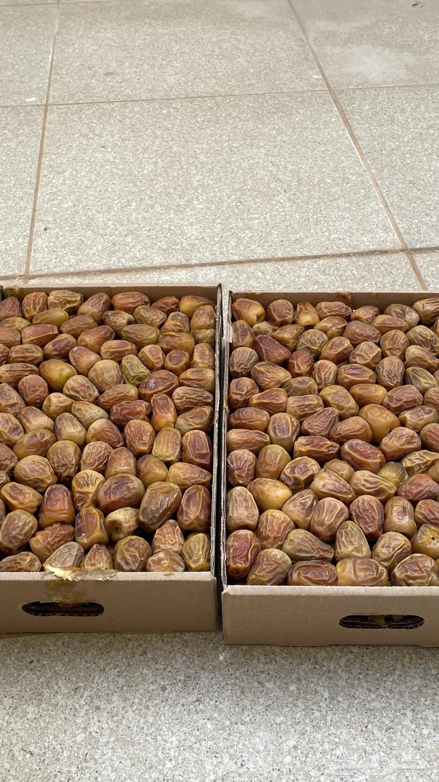 Twisted dates and Galaxy64360681931906111