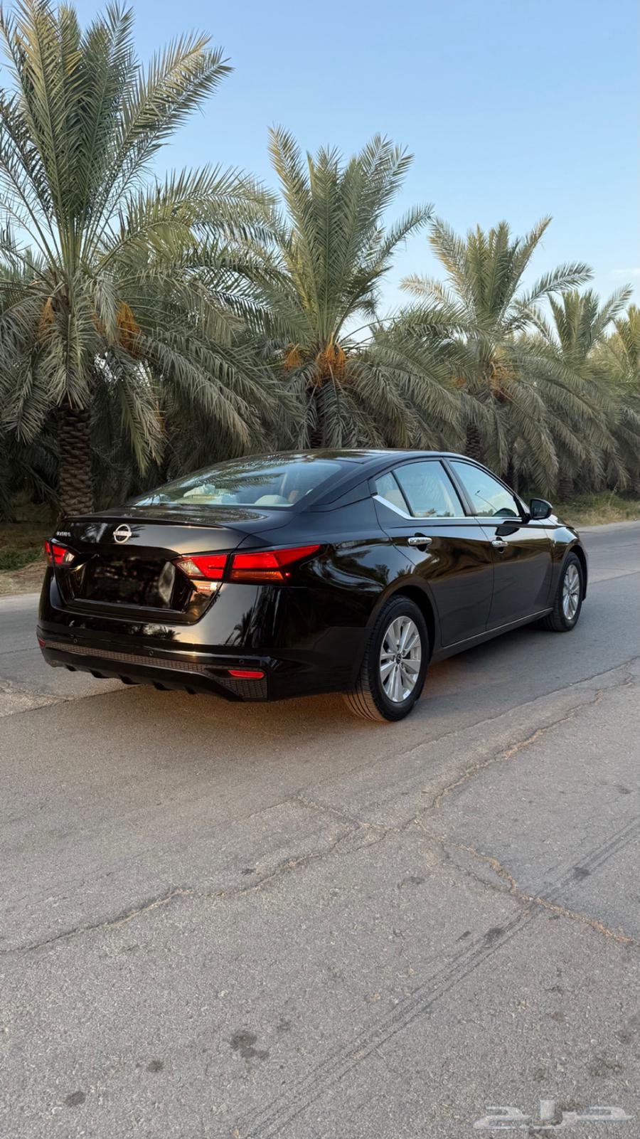 Tema 2021 Original Internal and External Conversion64495282576769114