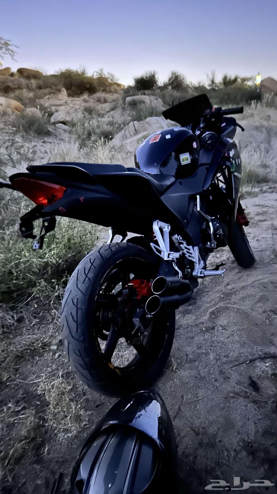 دباب ريس 25064495268519042113