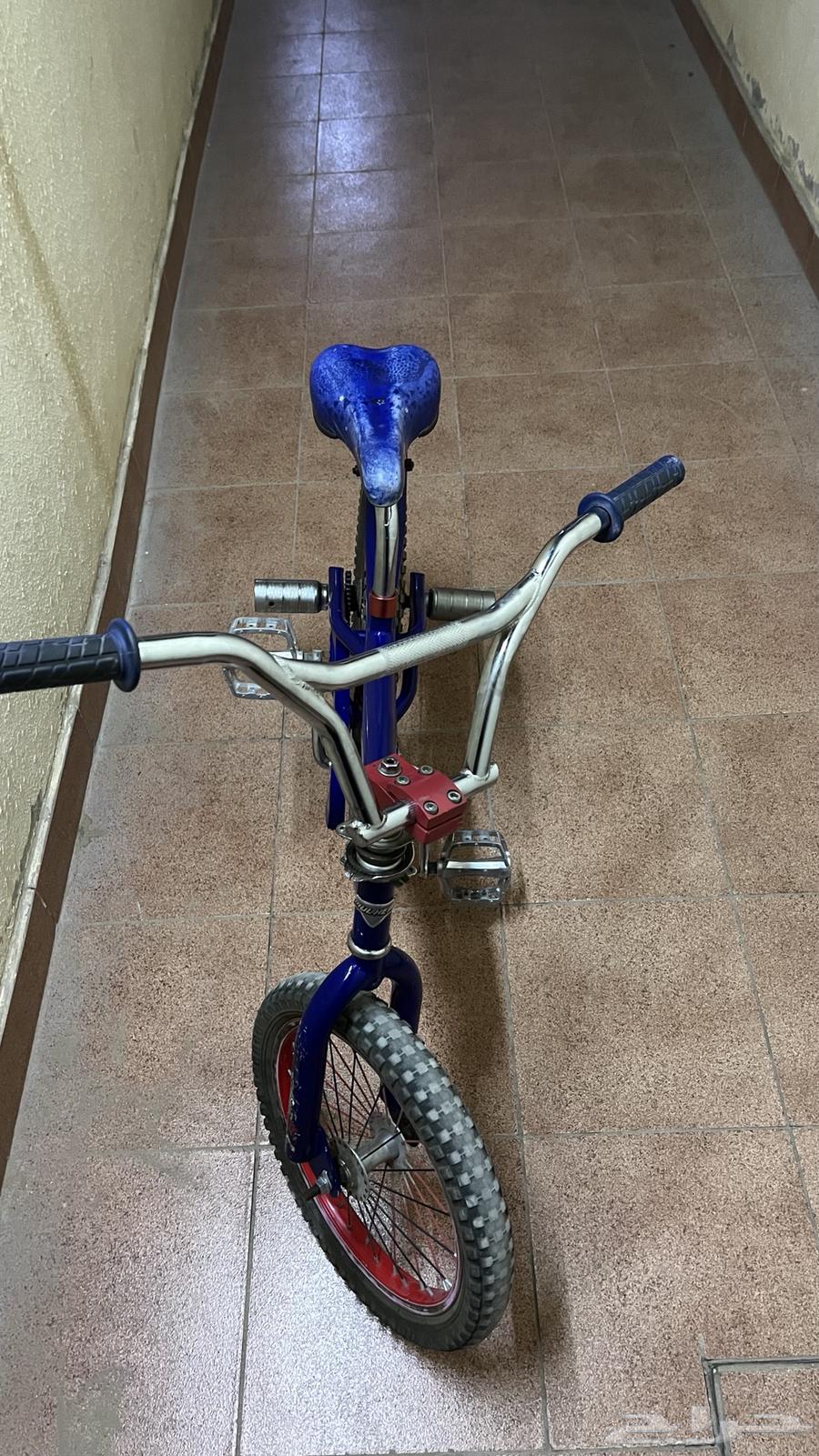 سيكل كوبرا للبيع64352489675521113