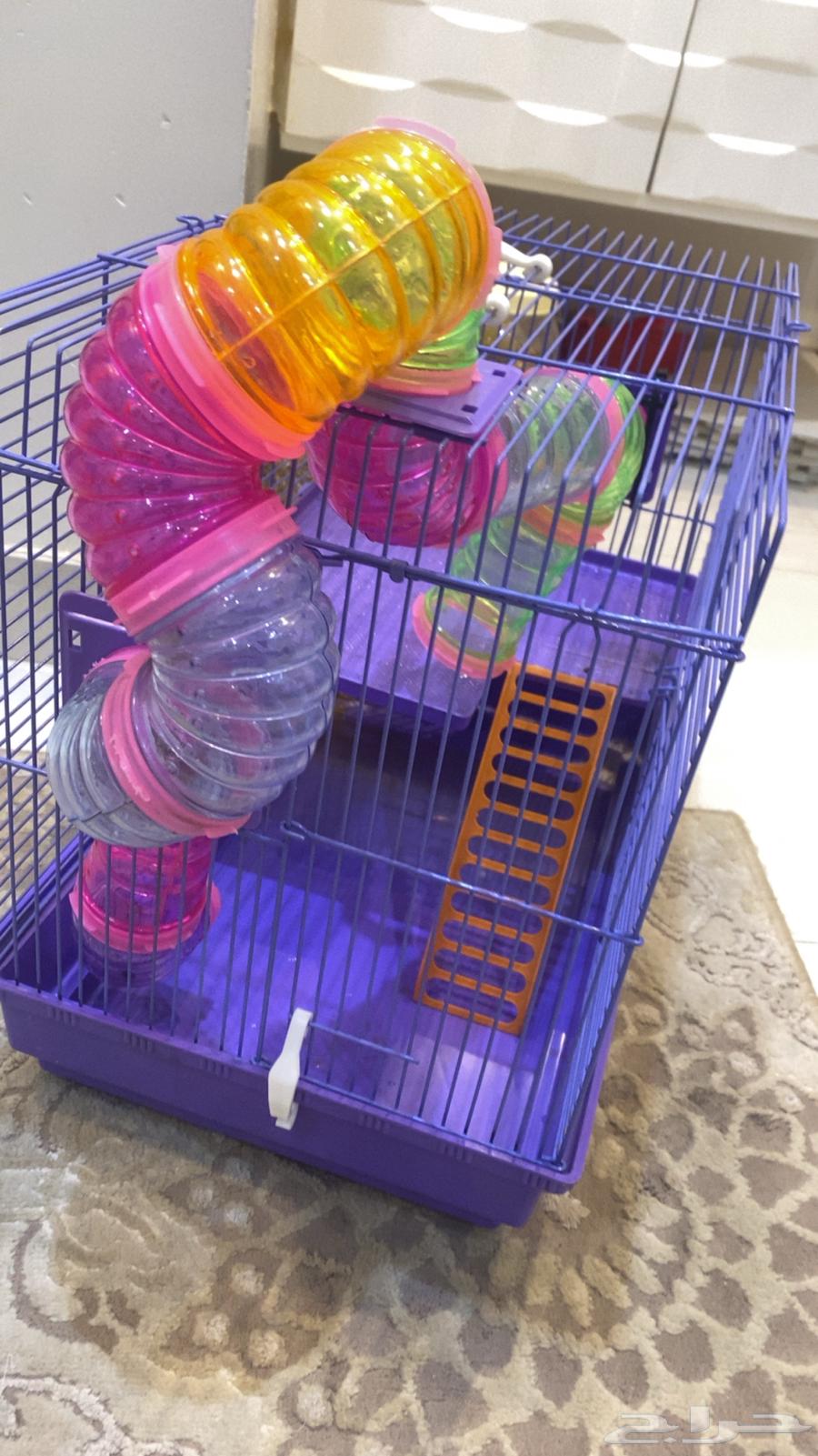 قفص هامستر قفص كبير64355786106755110