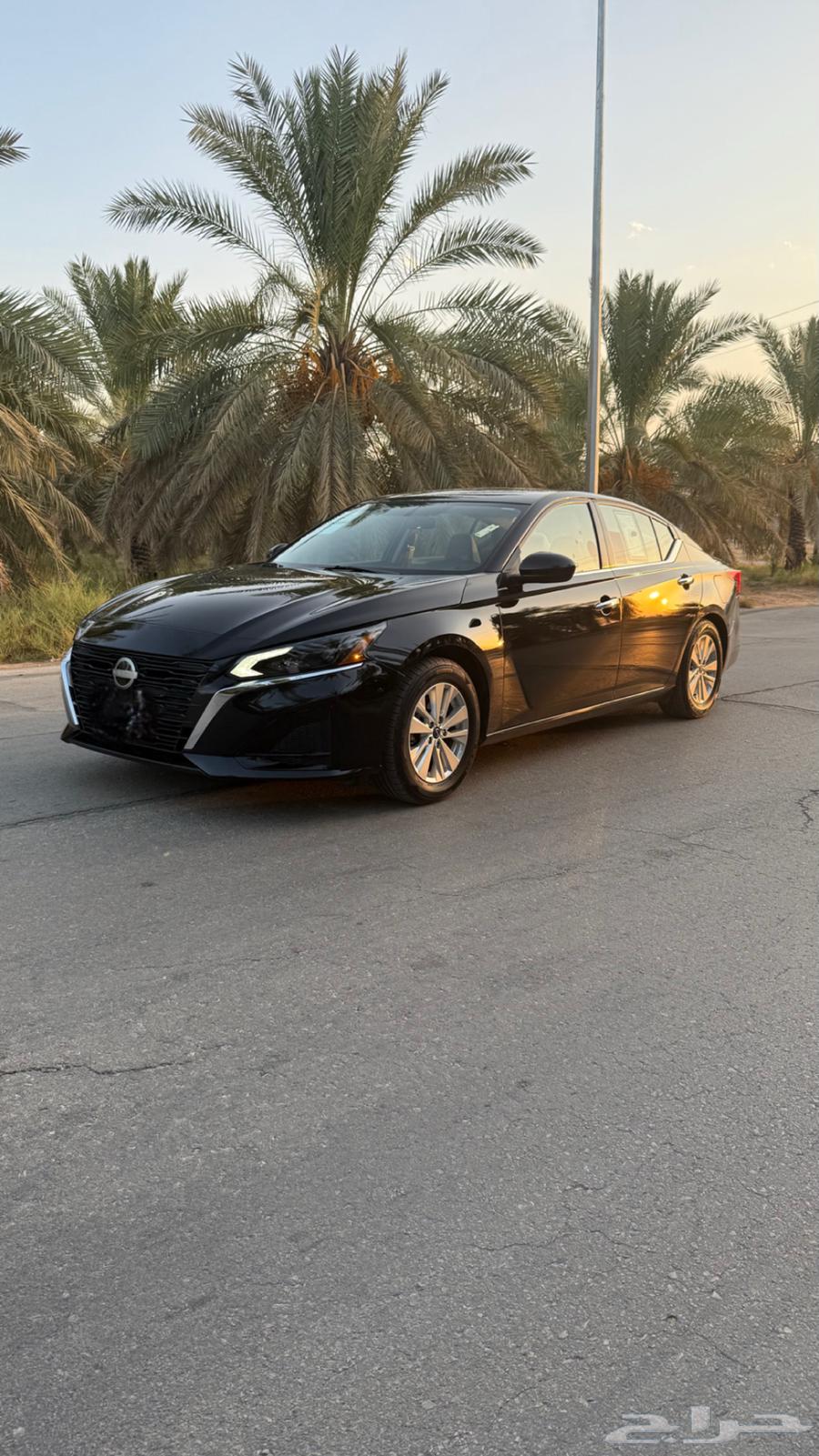 Tema 2021 Original Internal and External Conversion64495282576769112